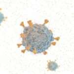 Here’s What You Need to&hellip;