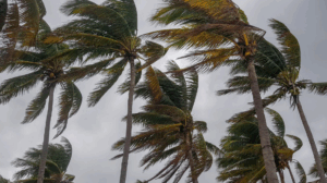 Tropical Storm Crising affects nearly 24,000 in Visayas,&hellip;