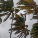 Tropical Storm Crising affects nearly&hellip;