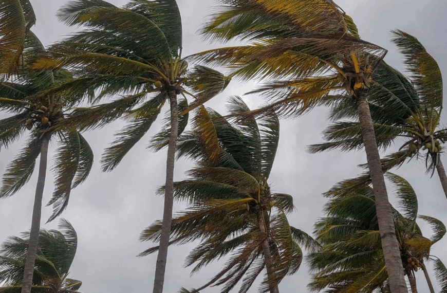 Tropical Storm Crising affects nearly&hellip;